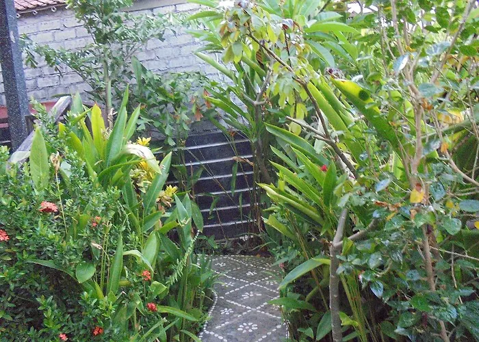 Titi Sedana * Amed (Bali)